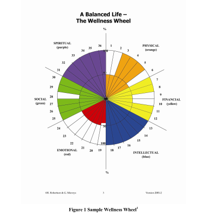 Wellness Wheel The Life Calling Coach